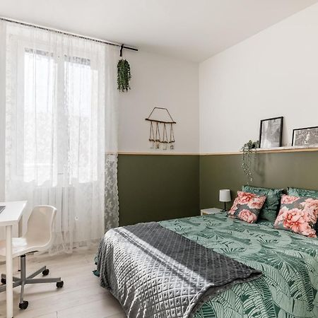 Superbe Appartement Cosy Avec Terrasse سانت إتيان المظهر الخارجي الصورة